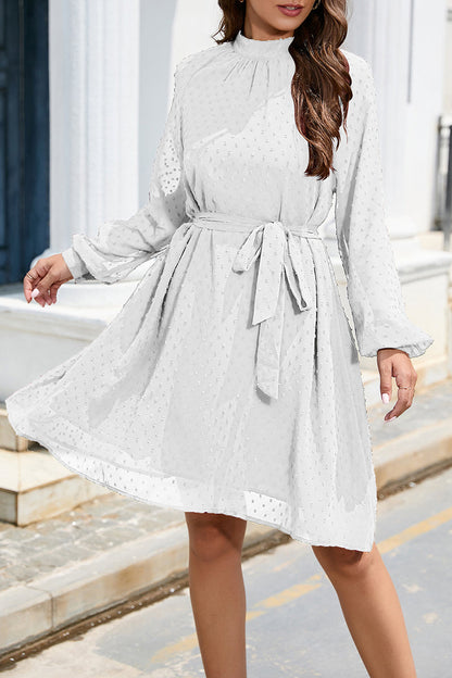 Elegant Solid Frenulum Turtleneck A Line Dresses