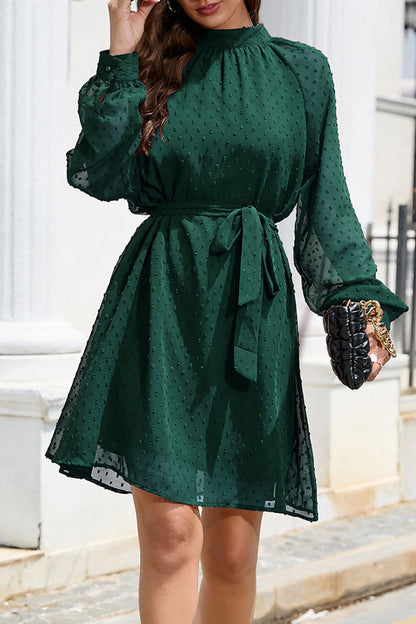 Elegant Solid Frenulum Turtleneck A Line Dresses