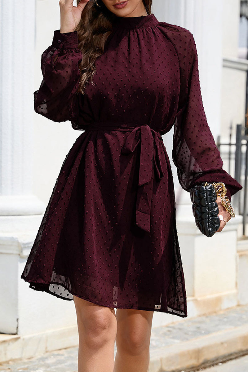 Elegant Solid Frenulum Turtleneck A Line Dresses