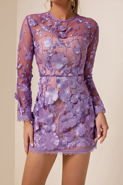 Embroidered Long Sleeve Round Neck Mini Dress